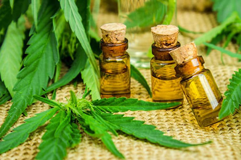 Le cannabis CBD vue par la FDA, comprendre les enjeux